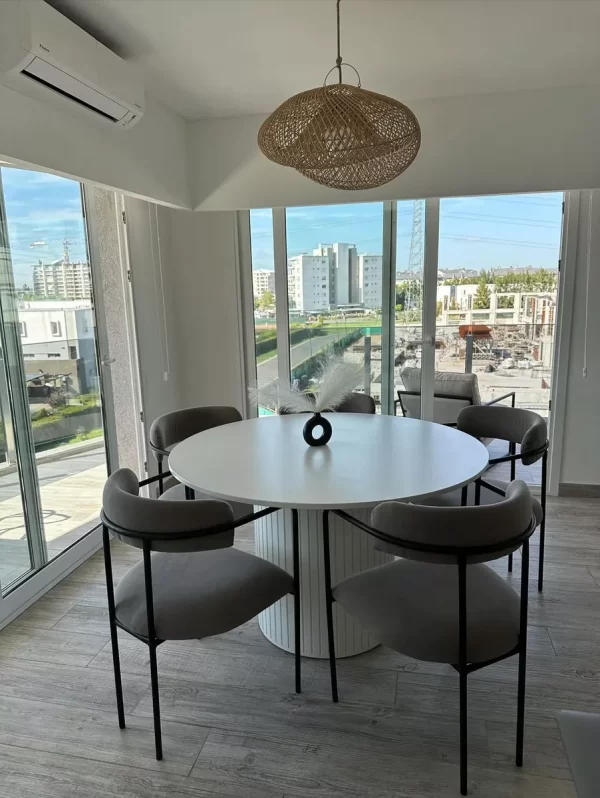 D_NQ_NP_2X_642461-MLA74488357600_022024-F