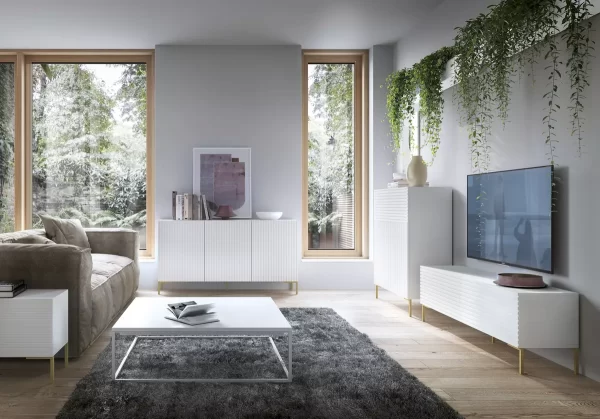 D_NQ_NP_2X_660910-MLA74222406275_012024-F